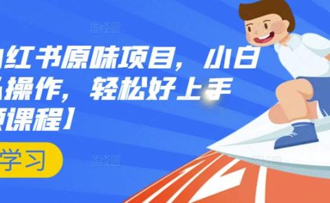 抖音小红书原味项目，小白都可以操作，轻松好上手【视频课程】