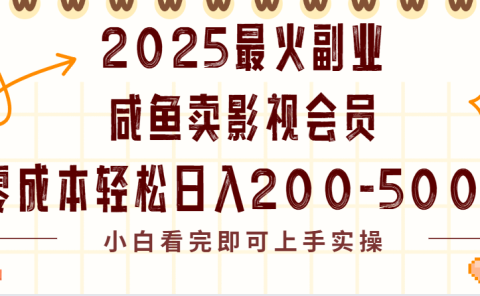 2025最火副业闲鱼卖vip影视会员，零成本日入200-500