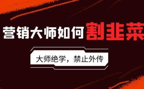 营销大师如何割韭菜：流量大师/讲故事大师/话术大师/卖货大师/成交大师/...