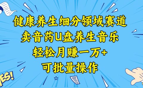 健康养生细分领域赛道，卖音药U盘养生音乐，轻松月赚一万+，可批量操作