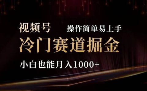 2024视频号冷门赛道掘金,操作简单轻松上手,小白也能月入1000+
