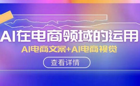 AI-在电商领域的运用线上课，AI电商文案+AI电商视觉（14节课）