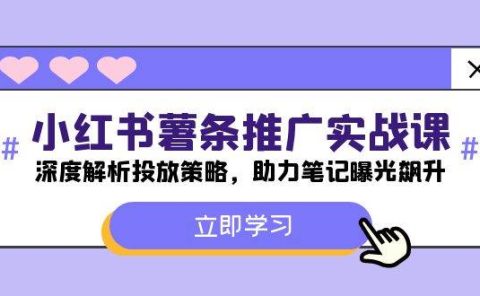 小红书-薯 条 推 广 实战课:深度解析投放策略,助力笔记曝光飙升