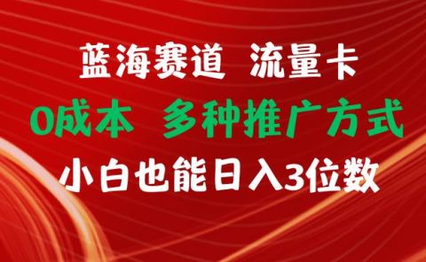 蓝海赛道 流量卡 0成本 小白也能日入三位数