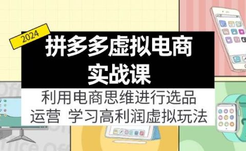 拼多多虚拟电商实战课：虚拟资源选品+运营，高利润虚拟玩法（更新14节）