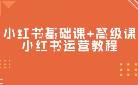 小红书基础课+高级课-小红书运营教程(53节视频课)
