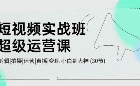 短视频实战班-超级运营课，|剪辑|拍摄|运营|直播|变现 小白到大神 (30节)