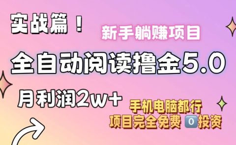 小说全自动阅读撸金5.0 操作简单 可批量操作 零门槛！小白无脑上手月入2w+