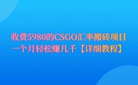 CSGO装备搬砖，月综合收益率高达60%，你也可以！