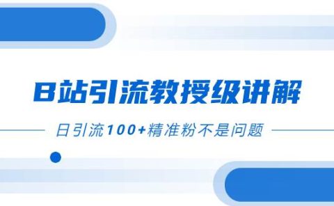 B站引流教授级讲解，细节满满，日引流100+精准粉不是问题