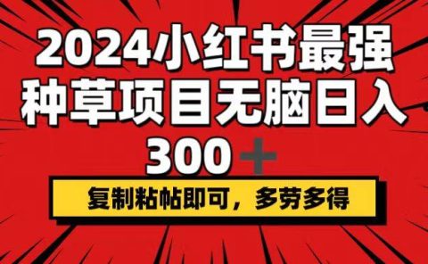 2024小红书最强种草项目,无脑日入300+,复制粘帖即可,多劳多得
