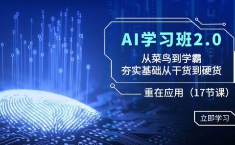 AI学习班2.0：从菜鸟到学霸，夯实基础从干货到硬货，重在应用（17节课）