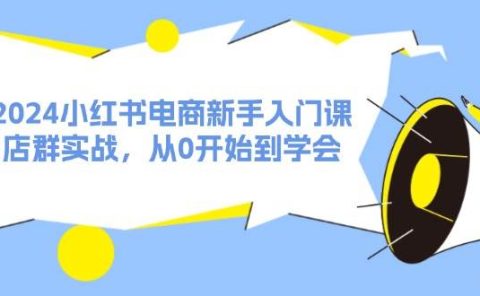 2024小红书电商新手入门课，店群实战，从0开始到学会（31节）