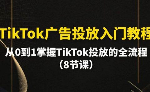 TikTok广告投放入门教程,从0到1掌握TikTok投放的全流程(8节课)