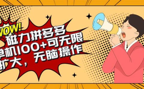 2024最新玩法，磁力单机100+，无脑操作，可无限扩大。别再错失机会了!!!
