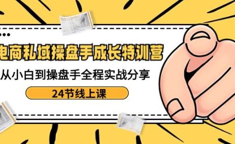 电商私域-操盘手成长特训营:从小白到操盘手全程实战分享-24节线上课