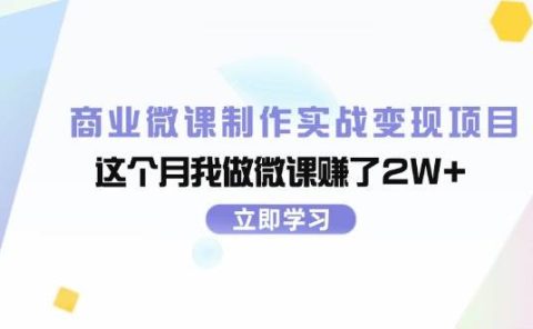 商业微课制作实战变现项目,这个月我做微课赚了2W+