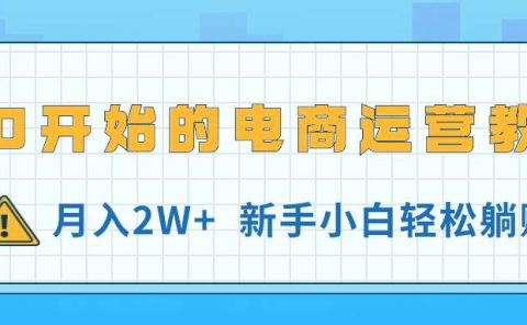 从0开始的电商运营教学，月入2W+，新手小白轻松躺赚