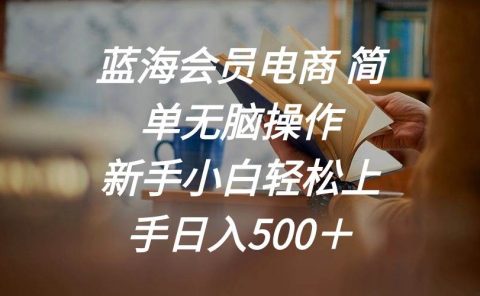 蓝海会员电商 简单无脑操作 新手小白轻松上手日入500＋