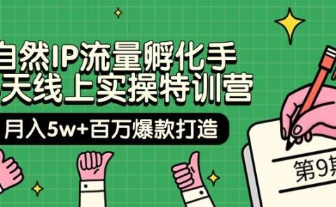 自然IP流量孵化手 14天线上实操特训营【第9期】月入5w+百万爆款打造 (74节)