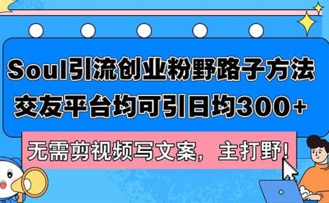 Soul引流创业粉野路子方法,交友平台均可引日均300+,无需剪视频写文案...