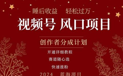 拥有睡眠收益的微信视频号大风口项目，轻松月入过万+，多赛道选择，可...