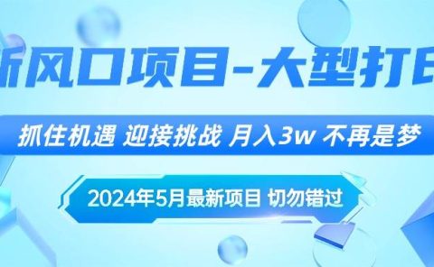 2024年5月最新风口项目,抓住机遇,迎接挑战,月入3w+,不再是梦