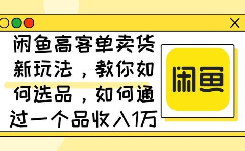 闲鱼高客单卖货新玩法，教你如何选品，如何通过一个品收入1万+