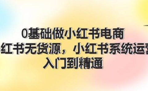 0基础做小红书电商，小红书无货源，小红书系统运营，入门到精通 (70节)