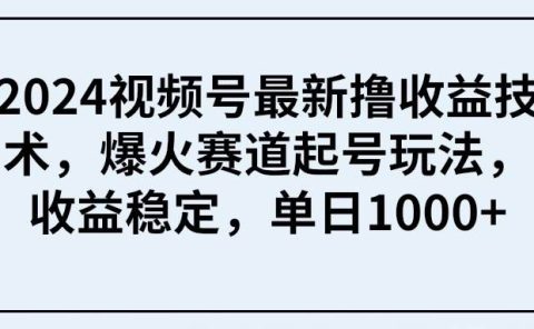 2024视频号最新撸收益技术,爆火赛道起号玩法,收益稳定,单日1000+