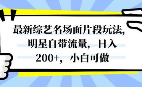 最新综艺名场面片段玩法，明星自带流量，日入200+，小白可做