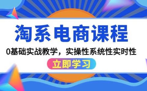 淘系电商课程，0基础实战教学，实操性系统性实时性（15节课）