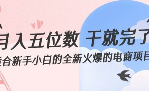 月入五位数 干就完了 适合新手小白的全新火爆的电商项目