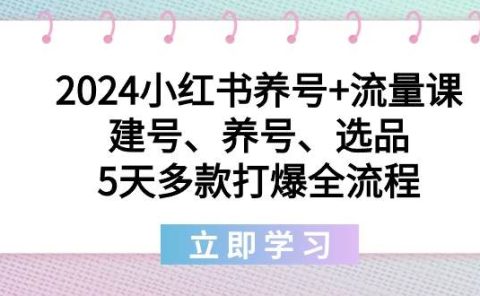 2024小红书养号+流量课：建号、养号、选品，5天多款打爆全流程