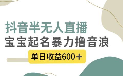 抖音半无人直播，宝宝起名，暴力撸音浪，单日收益600+