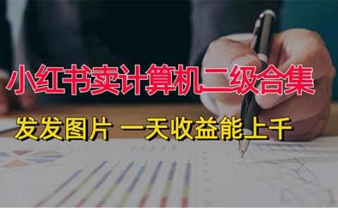小红书卖计算机二级合集,发发图片 一天收益能上千