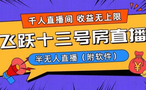 爆火飞跃十三号房半无人直播,一场直播上千人,日入过万!(附软件)