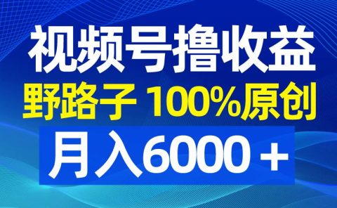 视频号野路子撸收益,100%原创,条条爆款,月入6000+