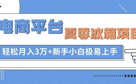 电商平台夏季冰箱项目，轻松月入3万+，新手小白极易上手