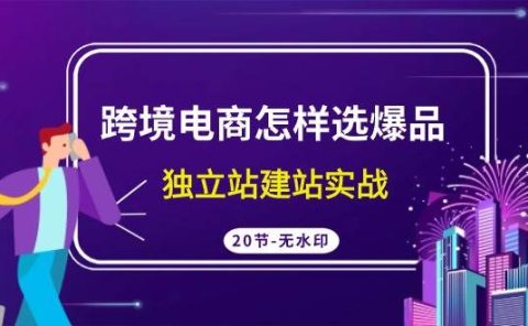跨境电商怎样选爆品，独立站建站实战（20节高清无水印课）