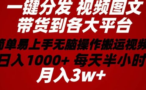 2024年 一键分发带货图文视频  简单易上手 无脑赚收益 每天半小时日入1...