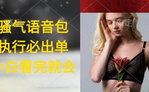 执行就出单，日入2000+，超火骚气语音包，小白看完课程就能马上实操