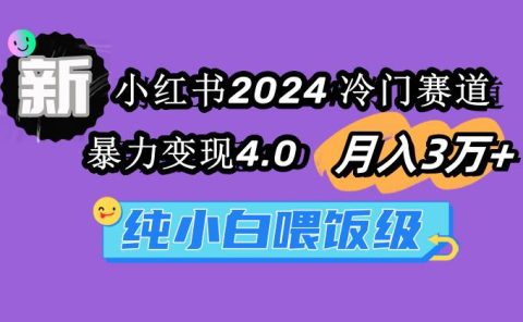 小红书2024冷门赛道 月入3万+ 暴力变现4.0 纯小白喂饭级