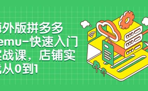 海外版拼多多Temu-快速入门实战课，店铺实战从0到1（12节课）