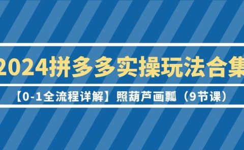 2024拼多多实操玩法合集【0-1全流程详解】照葫芦画瓢（9节课）