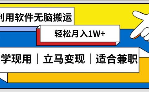 低密度新赛道 视频无脑搬 一天1000+几分钟一条原创视频 零成本零门槛超简单