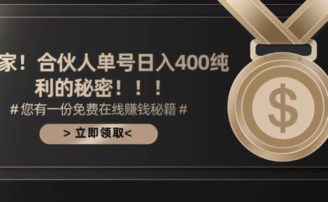 合伙人广告撸金最新玩法,每天单号400纯利