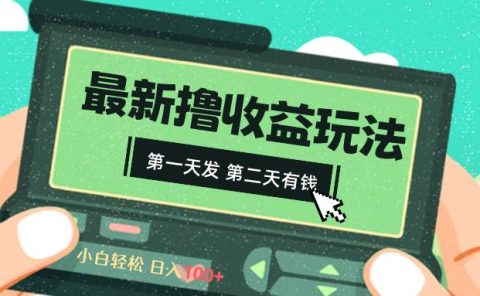 2024最新撸视频收益玩法，第一天发，第二天就有钱