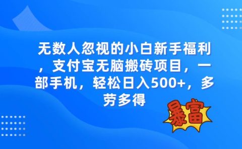 无数人忽视的项目,支付宝无脑搬砖项目,一部手机即可操作,轻松日入500+