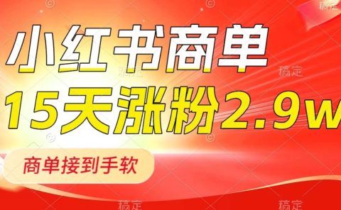 小红书商单最新玩法,新号15天2.9w粉,商单接到手软,1分钟一篇笔记